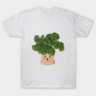 Cute Plant Illustration, Lemon Lime Prayer Plant - Maranta 2 T-Shirt